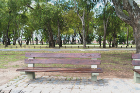 Brown bench in the park among the green trees