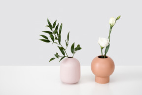 Ceramic vases with green branch and white eustoma