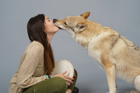 Nahaufnahme eines hundes, der die nase ihrer meisterin leckt