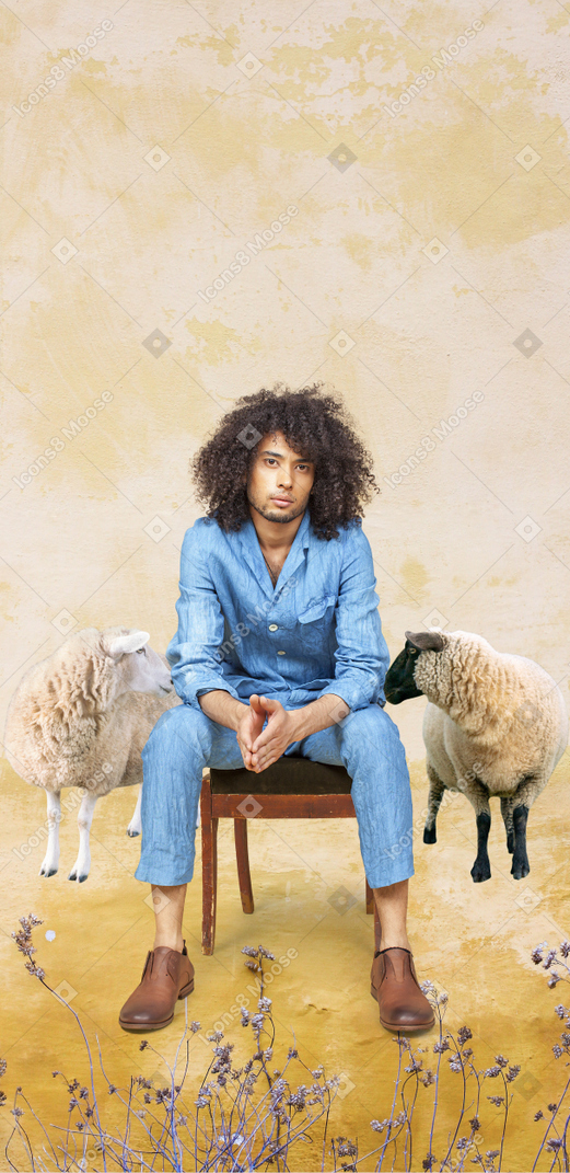 Homem sentado com ovelhas ao redor