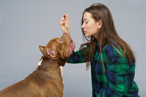 一位年轻的女性，穿着格子衬衫和棕色的牛头犬一起玩