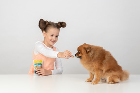 Avere una sorpresa, cagnolino