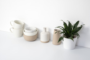 Ceramic kitchenware and house plant