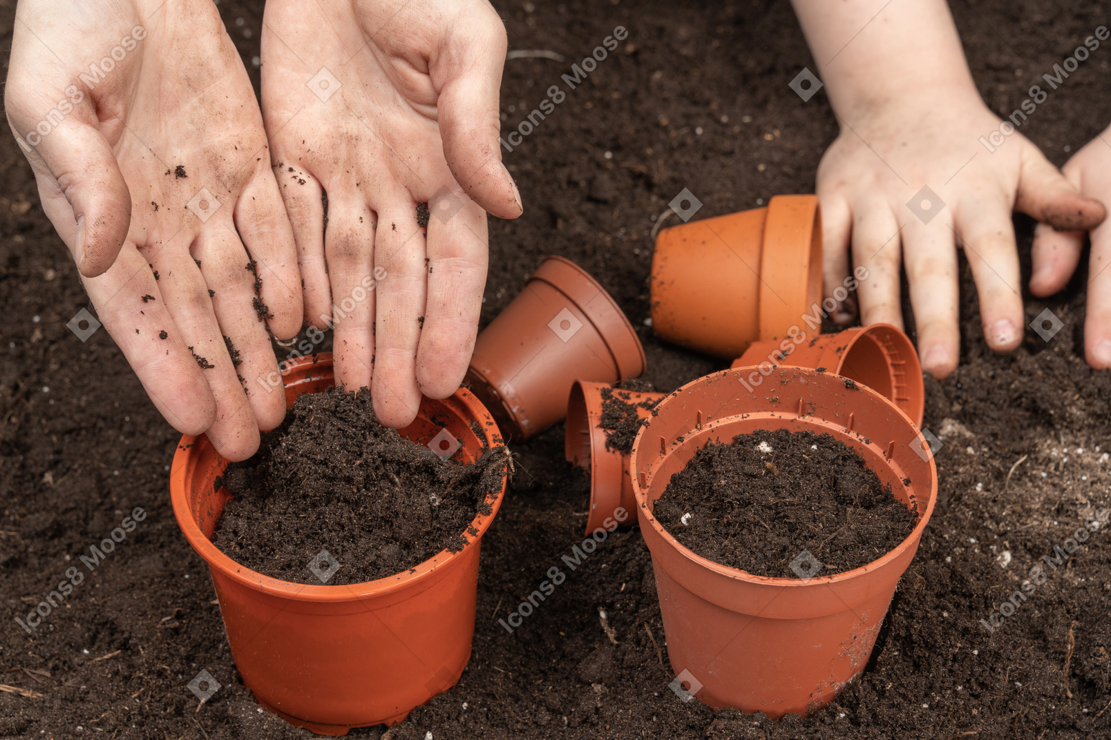Human hands putting soil into pots