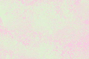 Pastel pink background