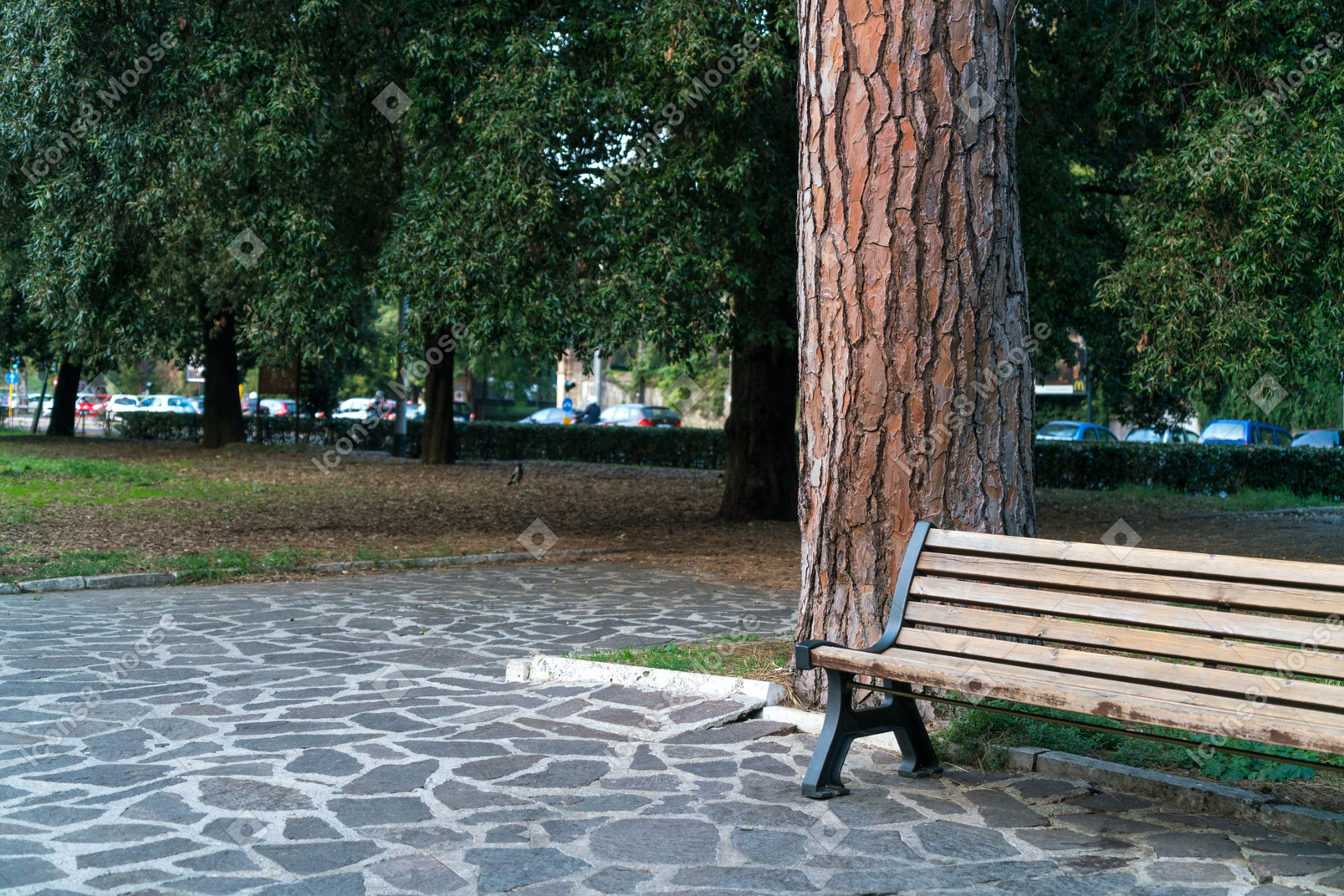公園の木の近くのベンチ