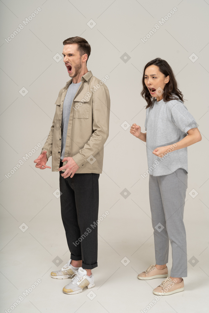 Vista de tres cuartos de una pareja joven enojada y gritando