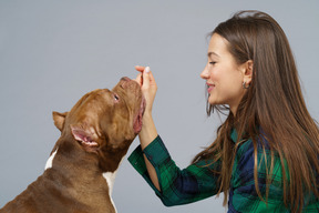 Eine junge frau im karierten hemd, die mit einer braunen bulldogge spielt