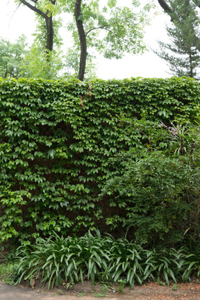 Il giardino dà una bella vista