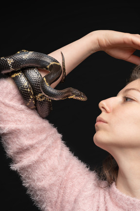 Serpiente negra a rayas que se curva alrededor de la mano de la mujer