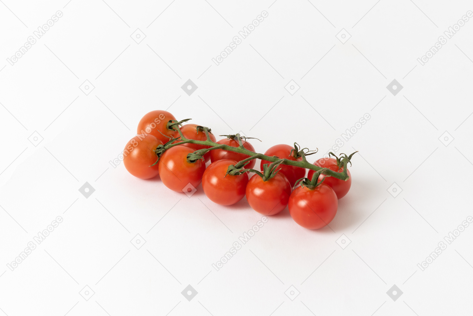 A branch of cherry tomatoes