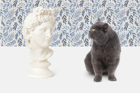 Grey cat looking at head bust