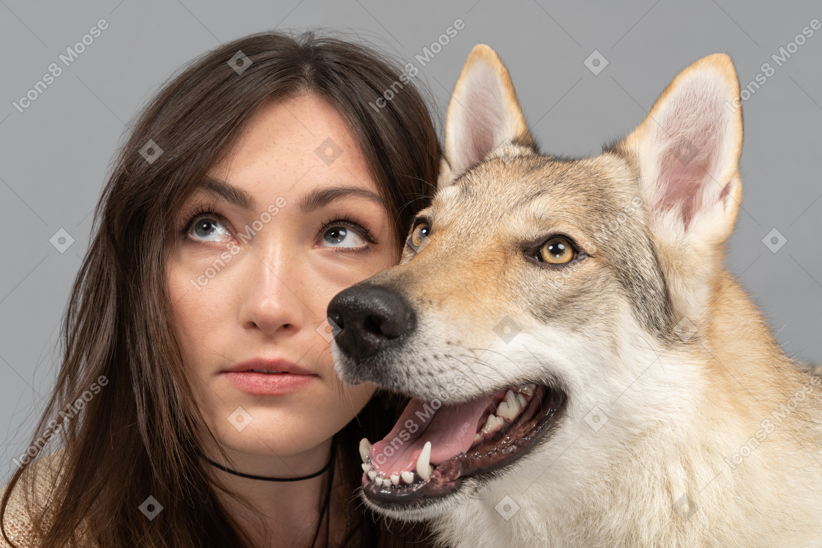 Mujer joven y un perro mirando a un lado