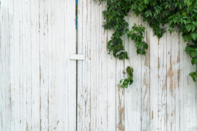 White wall of a house