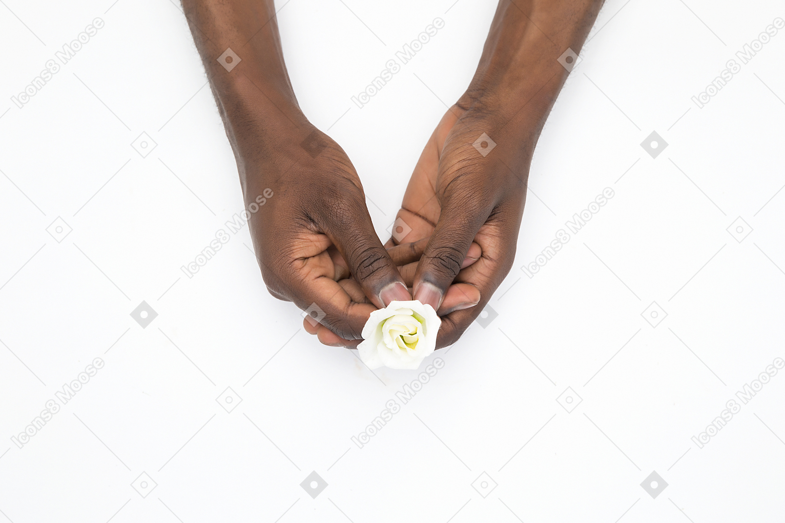 Mani maschili nere che tengono un fiore