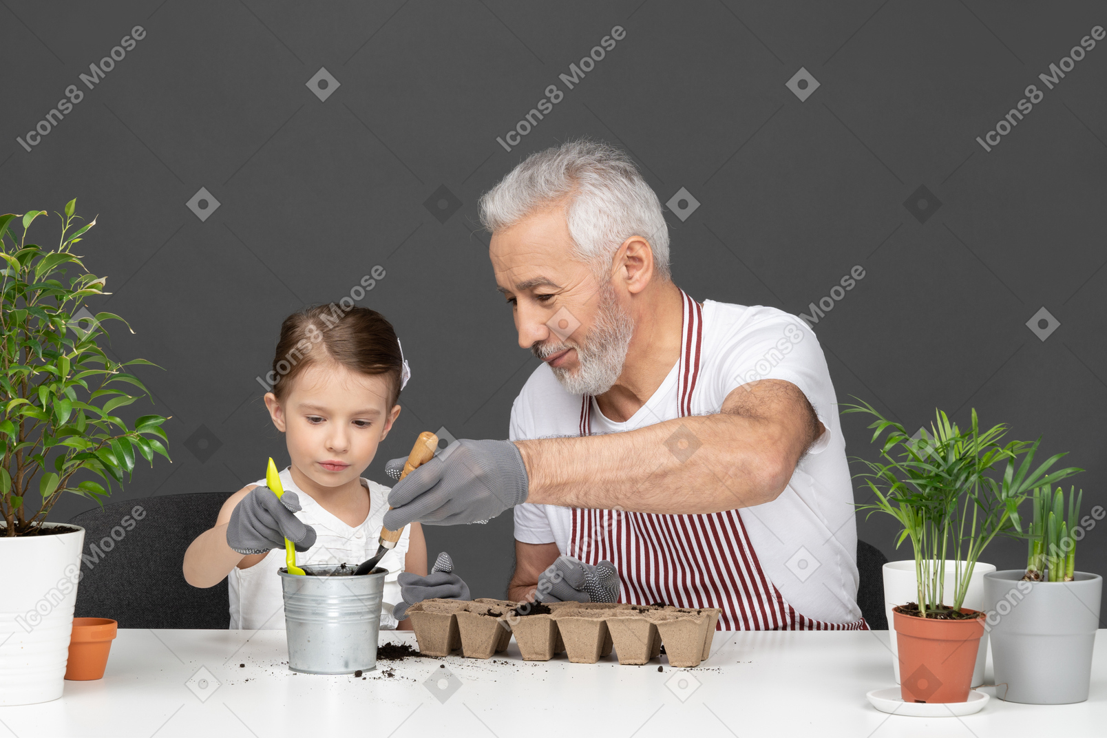 Little girl and mature man gardening