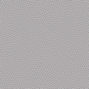 Textura de cuero blanco