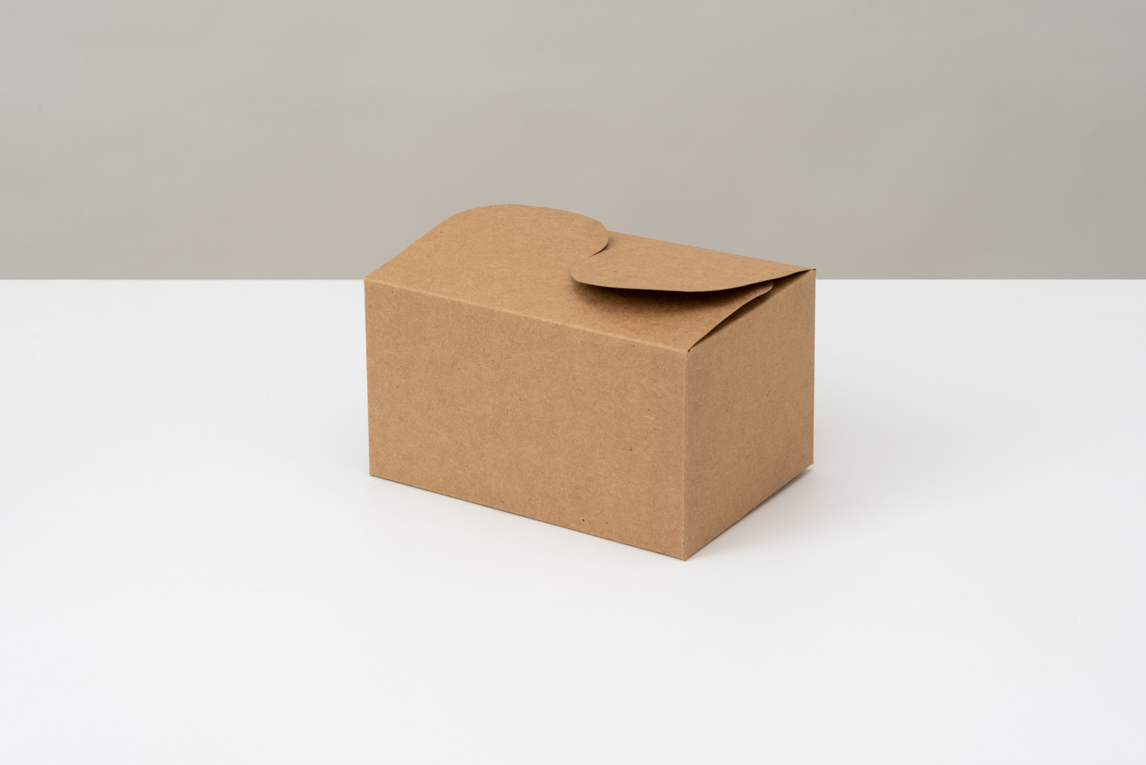 Cardboard box mock up