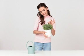 Attractive young woman taking care of a houseplant