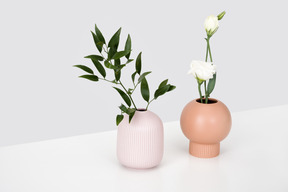 Vases en céramique avec branche verte et eustoma blanc