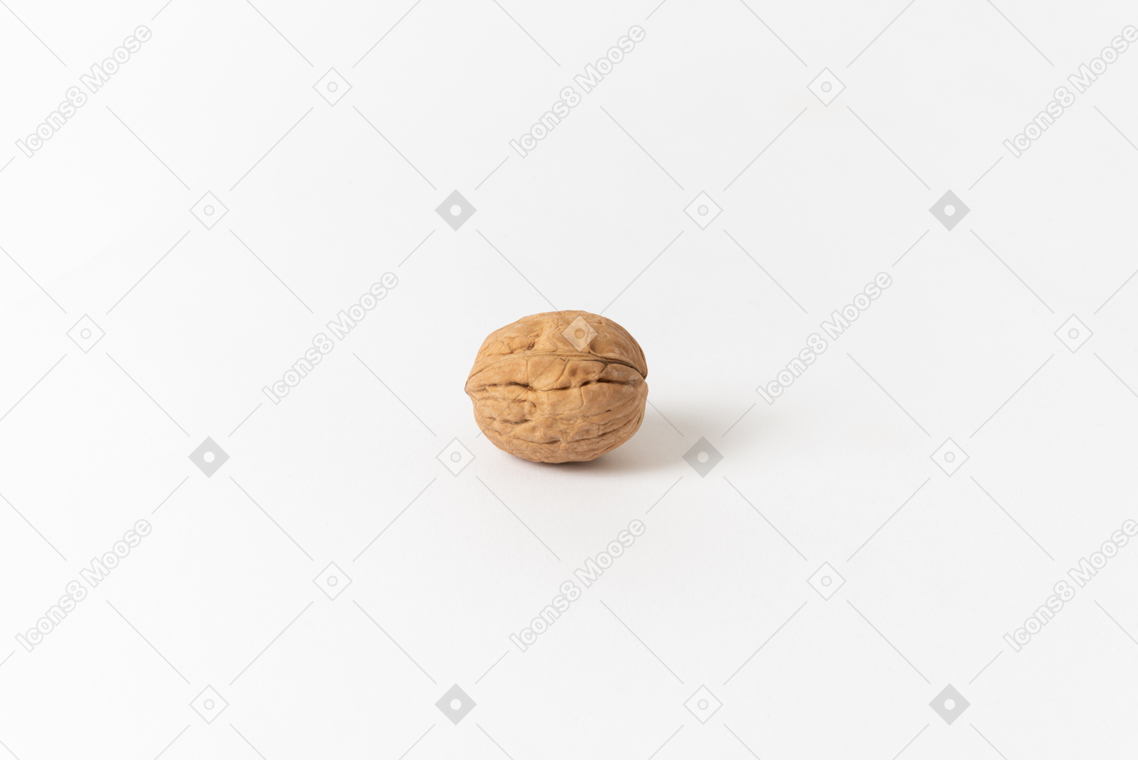Single walnut in a shell