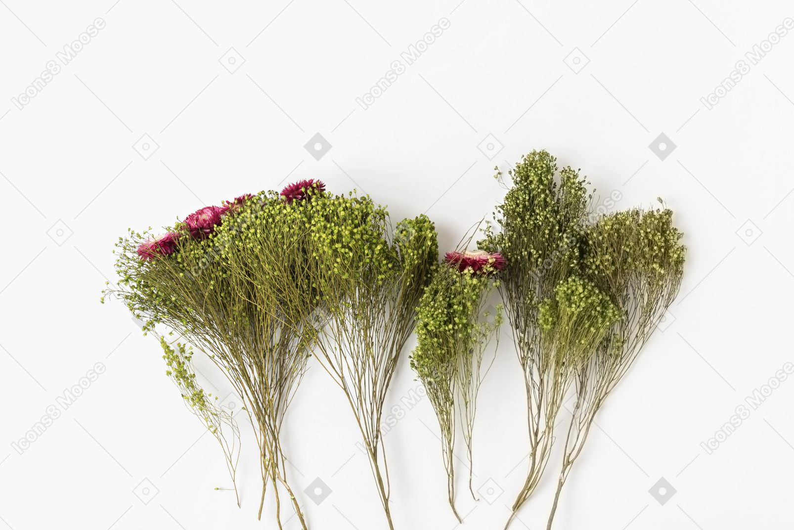 Green flowers on white background