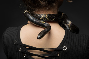 Serpiente negra a rayas que se curva alrededor del cuello de la mujer