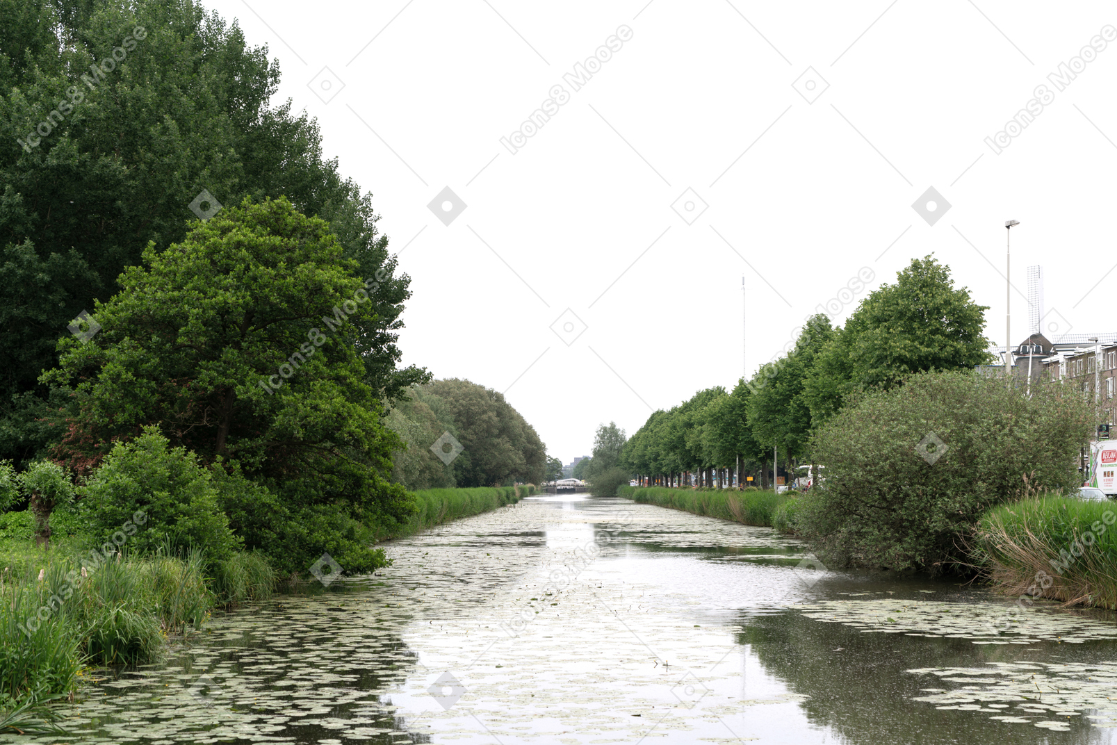 Uma vista de um rio com árvores em ambos os lados