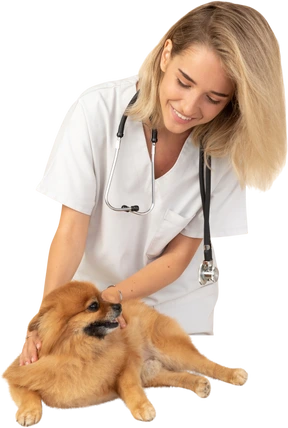 Healthcare