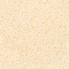 Semi di riso essiccati