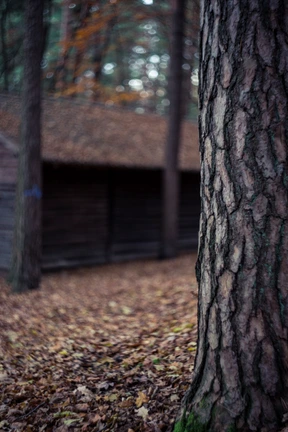 Naturaleza
