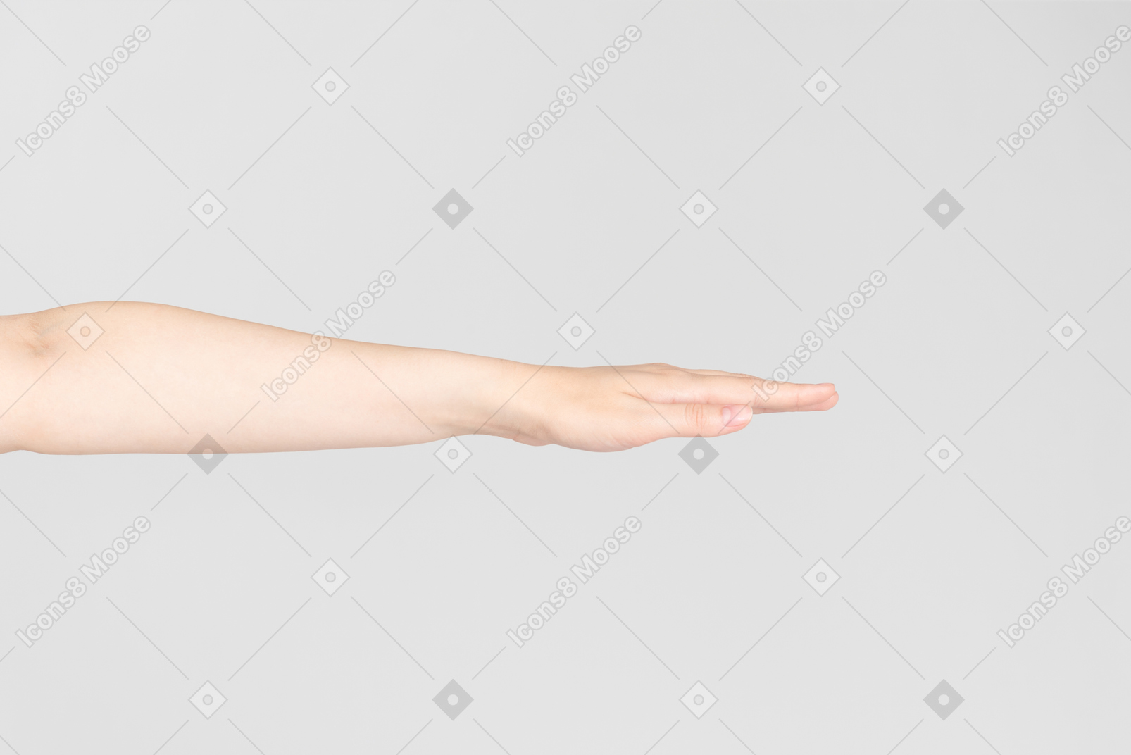 확장 된 여성 손의 측면 모습