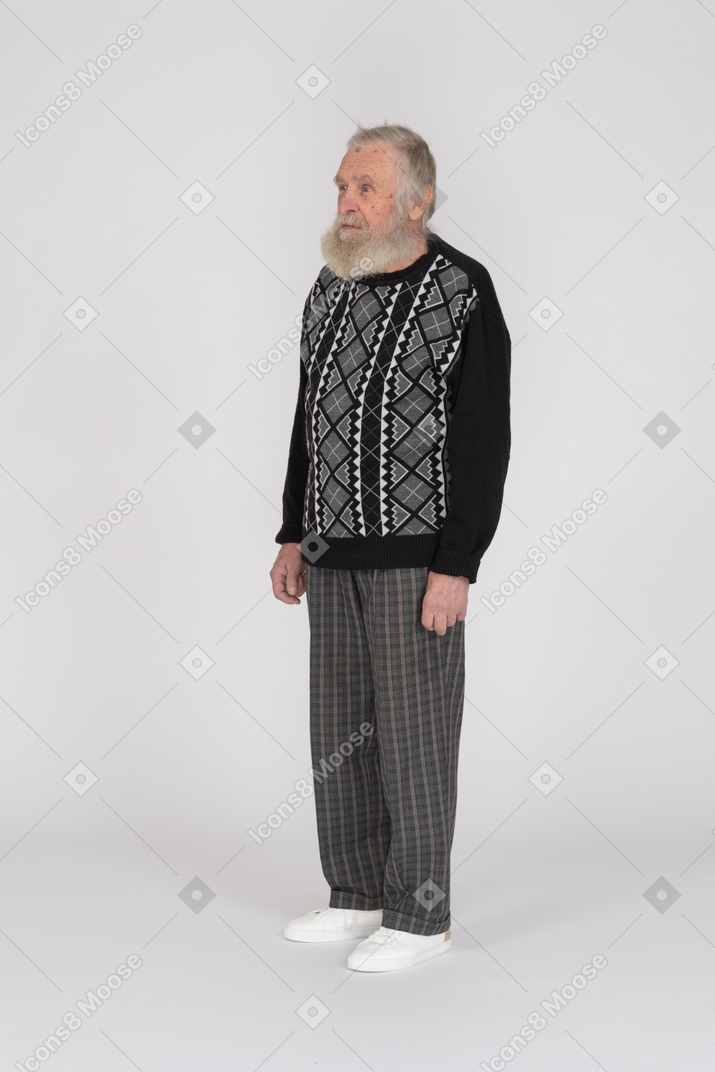Three-quarter view of an elderly bearded man standing