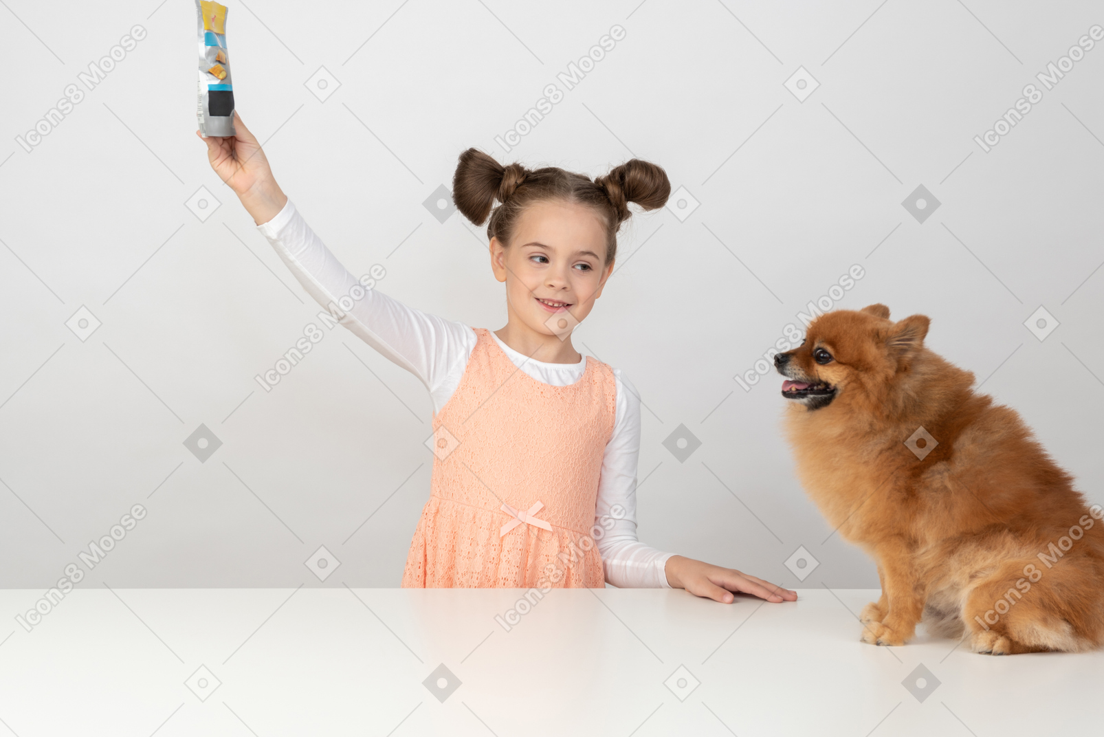 Kid girl showing a packet of dog treat to spitz