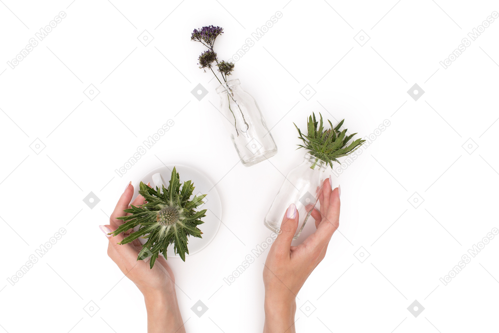 Seja gentil com as plantas em vaso