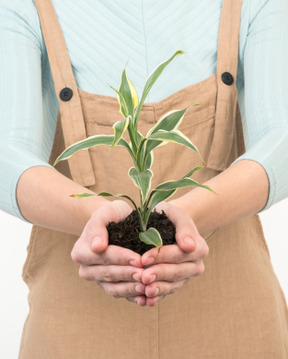 Mulher segurando solo com planta verde