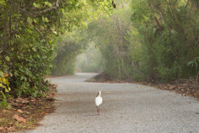 La Nature