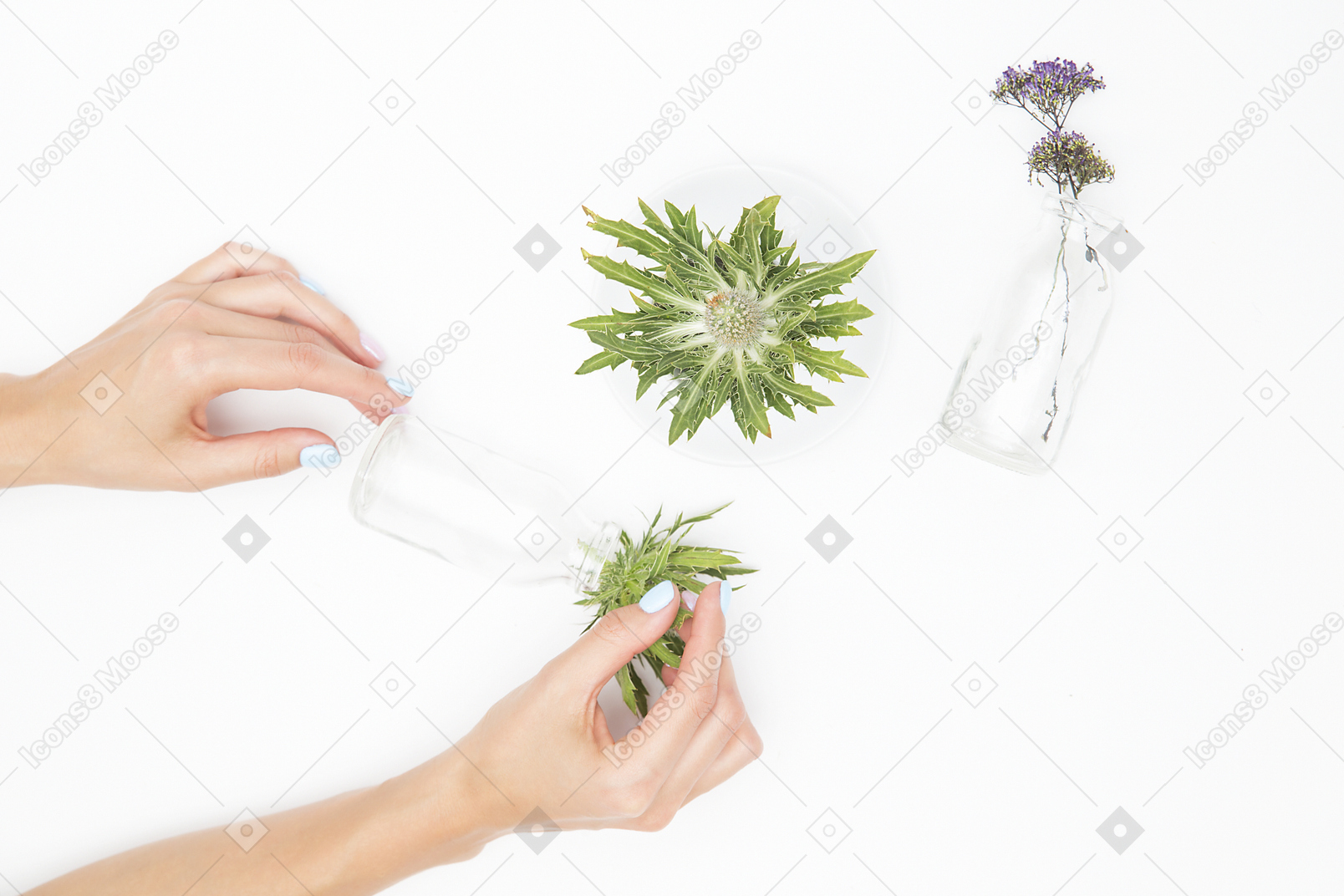 さまざまなガラスのオブジェクトと緑の植物の横にある女性の手