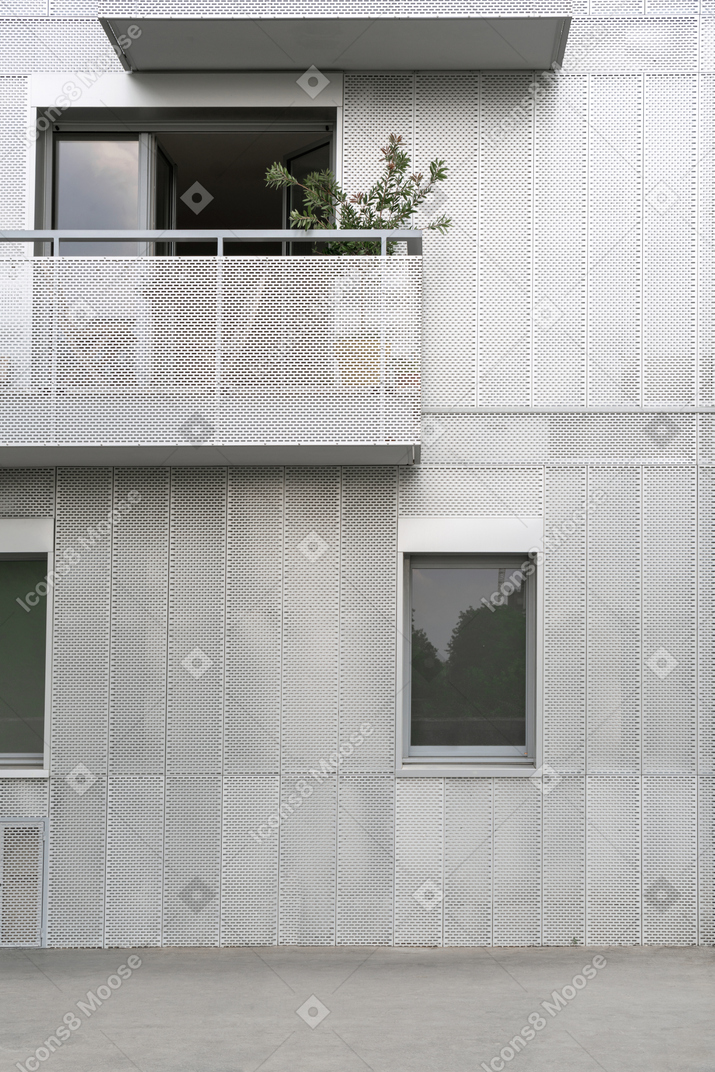 White building with a balcony and plant on it