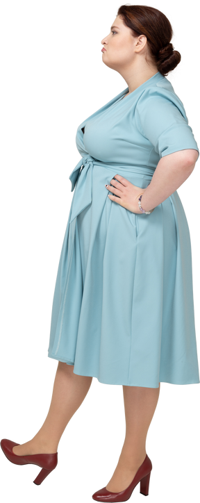 腰に手を置いて立っている青いドレスを着た女性の側面図