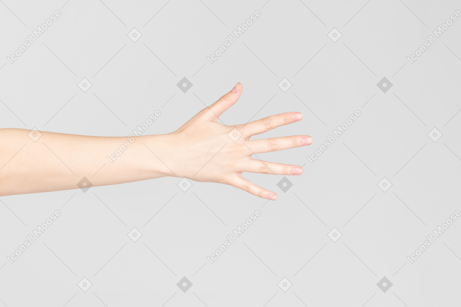 Mirada lateral de la mano de la mujer con los dedos abiertos