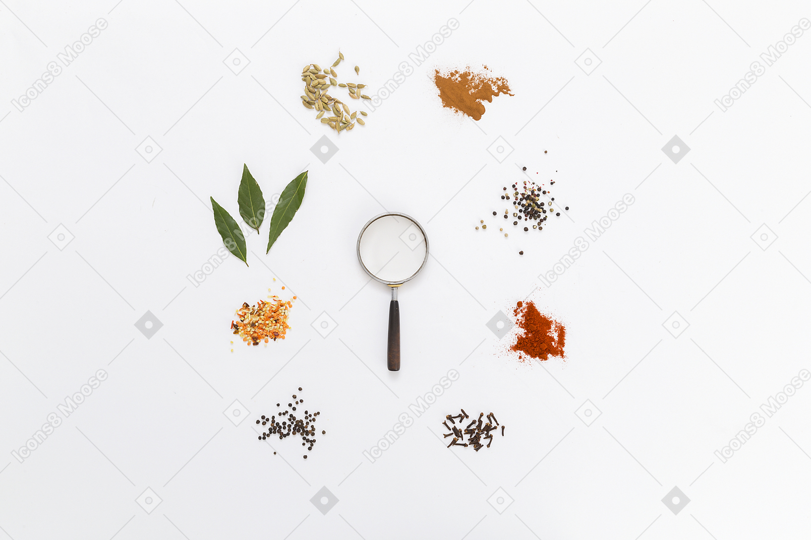 Circle of herbs and spices with magnifying glass in centre