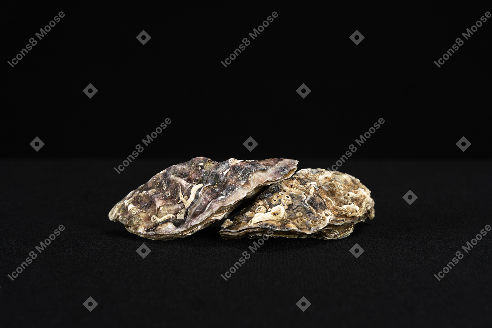 Closed oysters lying on top of each other