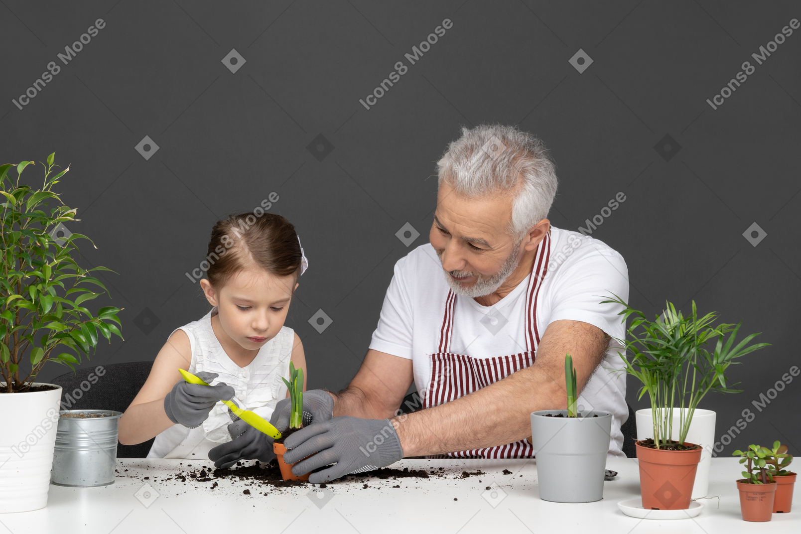 Petite fille et homme mûr jardinage