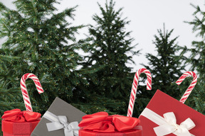 Three presents wrapped in red paper with candy canes