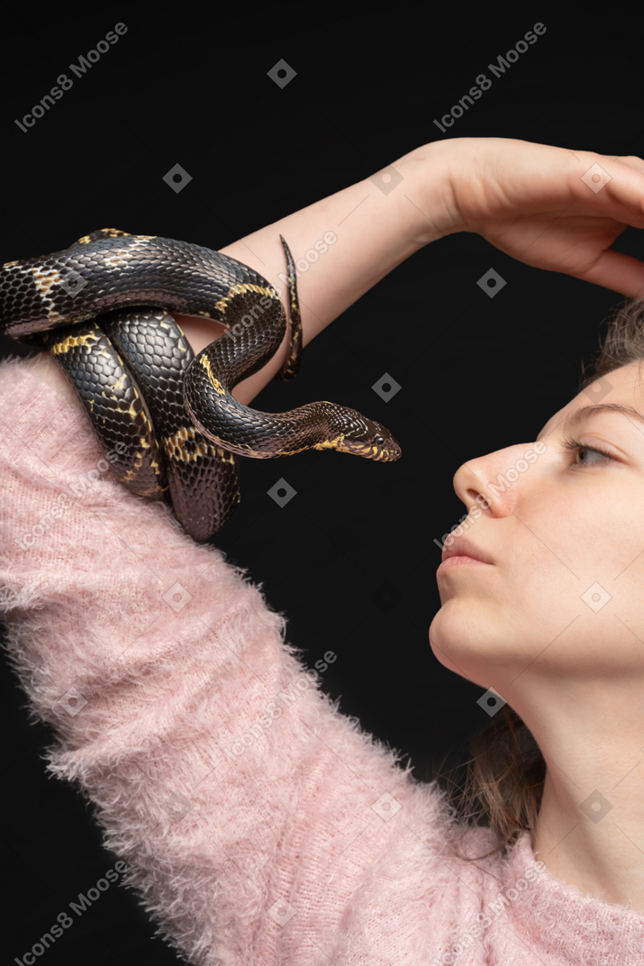 Striped black snake curving around woman's hand