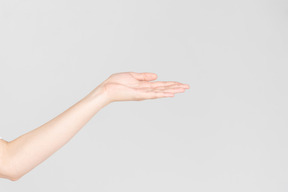 Olhar lateral da mão feminina, mostrando a palma da mão