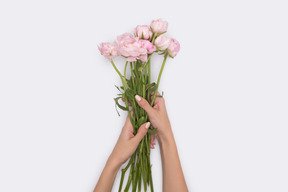 Bouquet de pivoines