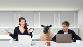 Office with goat