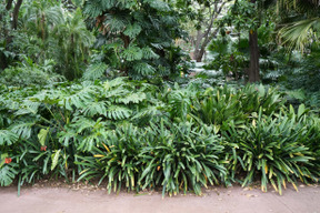 Lugar lindo para dar um passeio